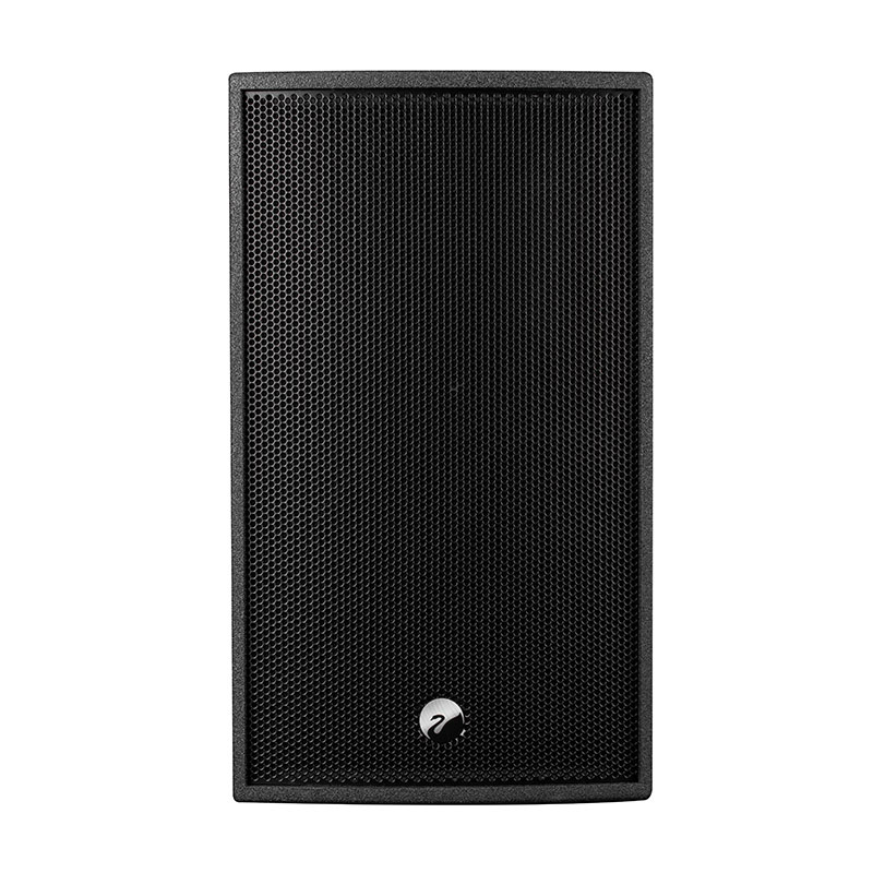 Swan惠威 DS12专业音箱