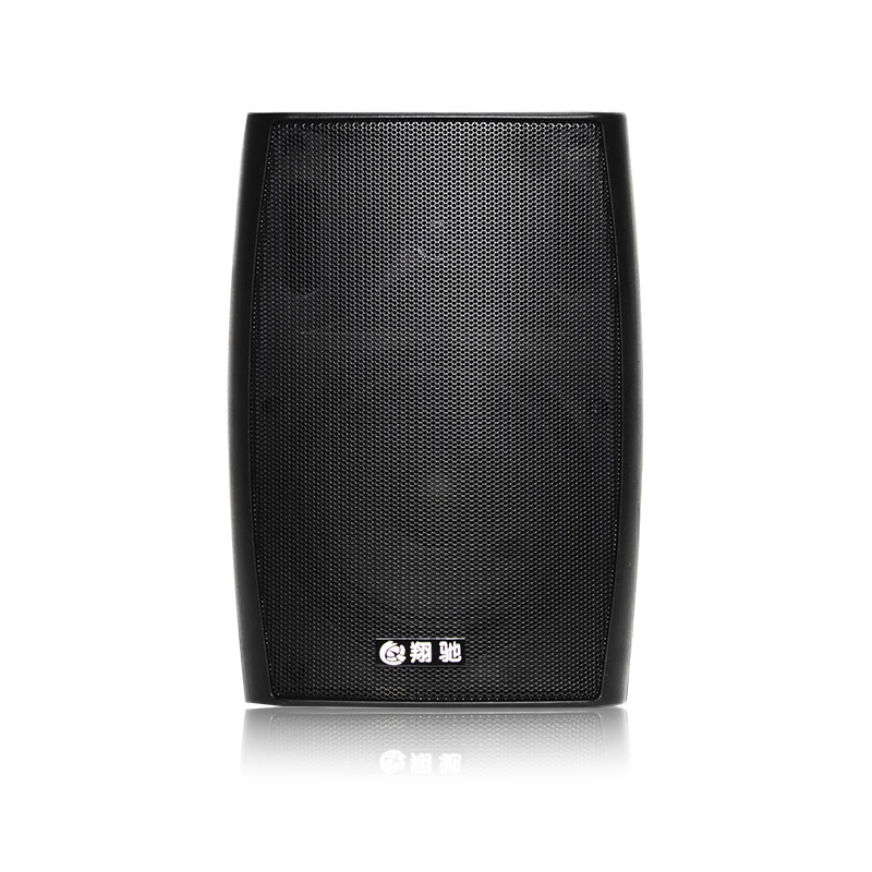 会议定压壁挂音箱FT205